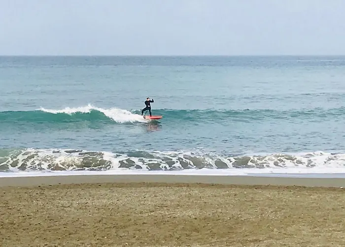 Riviera Lejlighed Levanto